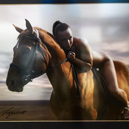 Lupino's Gallery - Old Town