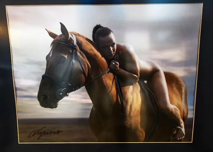 Lupino's Gallery - Old Town